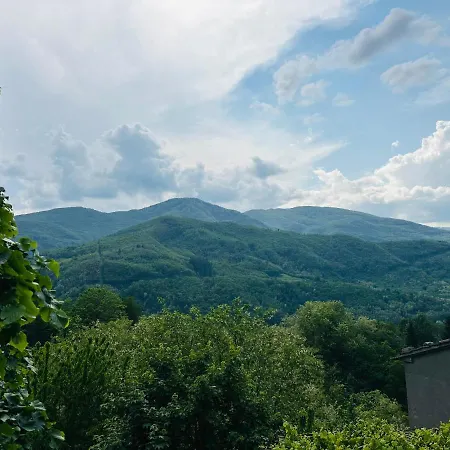 Il Vecchio Cedro Villa