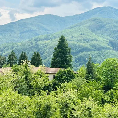 Villa Il Vecchio Cedro