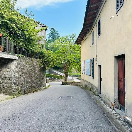 Il Vecchio Cedro Villa *