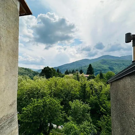 Il Vecchio Cedro * San Marcello Piteglio