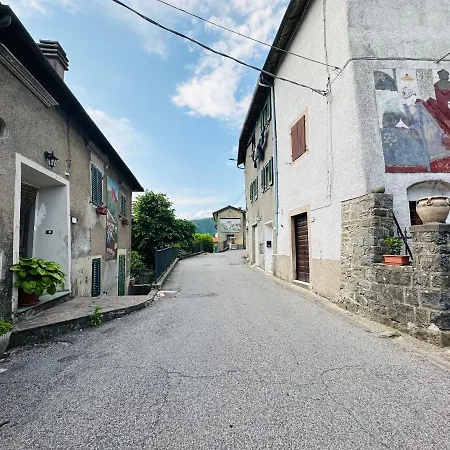 Il Vecchio Cedro *