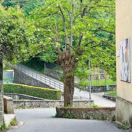Il Vecchio Cedro * San Marcello Piteglio