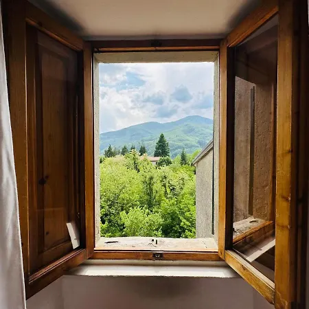 Villa Il Vecchio Cedro *