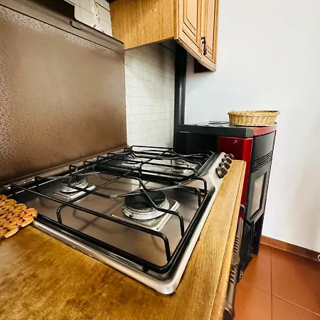 Il Vecchio Cedro *